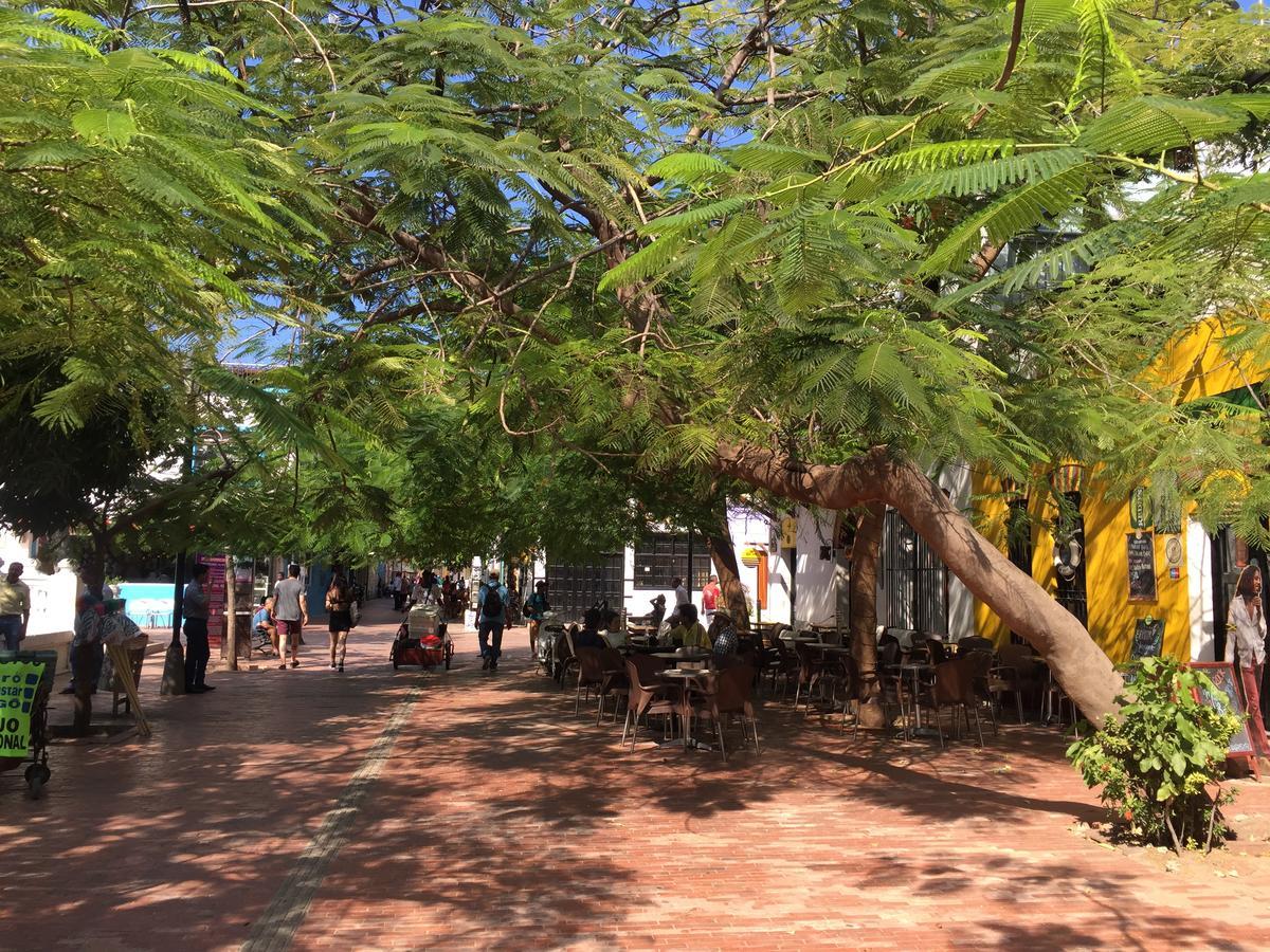 Perla Del Caribe Apartment